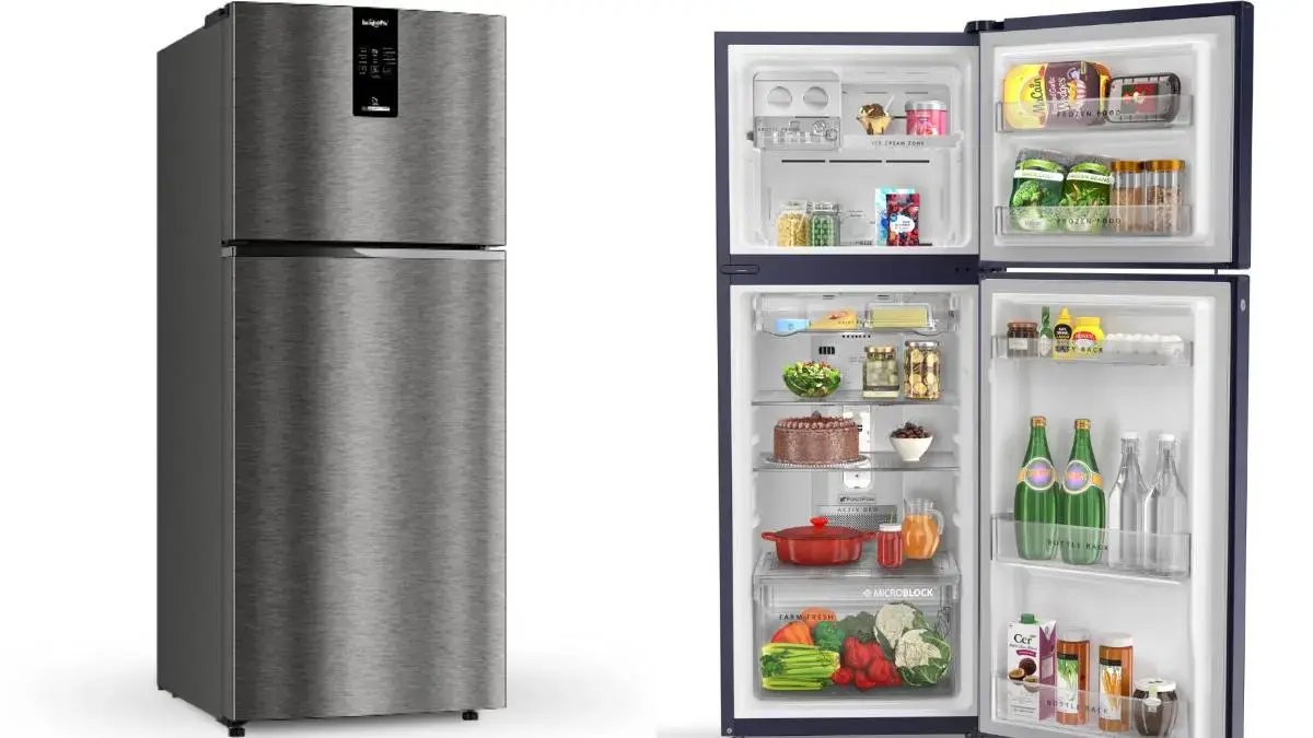 LG 246 L Double Door Refrigerator