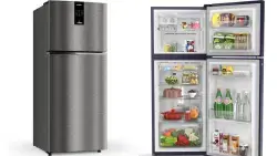 LG 246 L Double Door Refrigerator